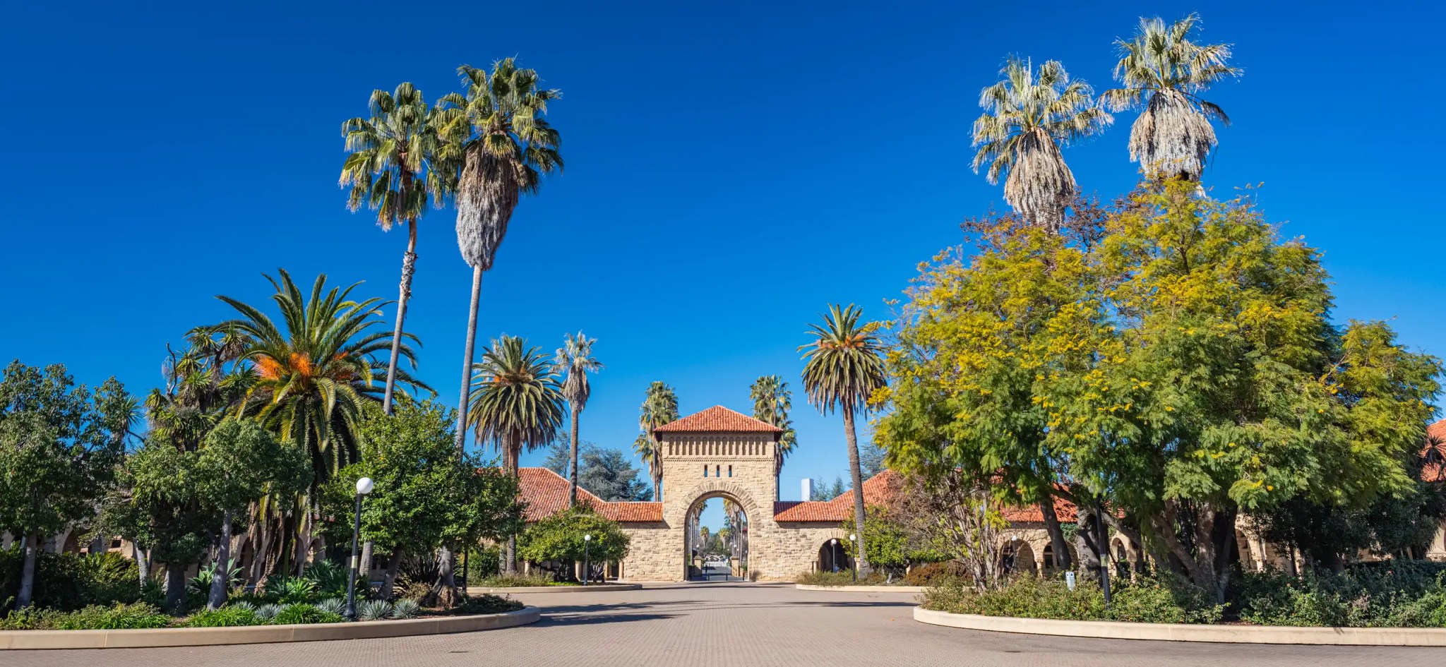 Stanford University